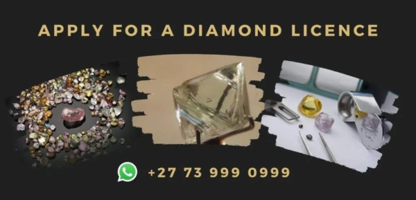 FORM PMJ   Permit number: 0000000001 APPLICATION FOR A JEWELLER’S PERMIT [In terms of section 9(6) of the Precious Metals Act, 2005 (Act 37 of 2005)] Instructions: 1. For any enquiries, contact the office of the Regulator during office hours. 2. Complete the form in block letters and in black pen. 3. Where options are given mark the appropriate block. 4. Complete the form in English and do not use abbreviations. 5. Although the application forms are made available in electronic format, only a signed original hard copy shall be acceptable. 6. Ensure that all the required documentation accompanies the application. 7. The application must be submitted to the operational business premises of the Regulator