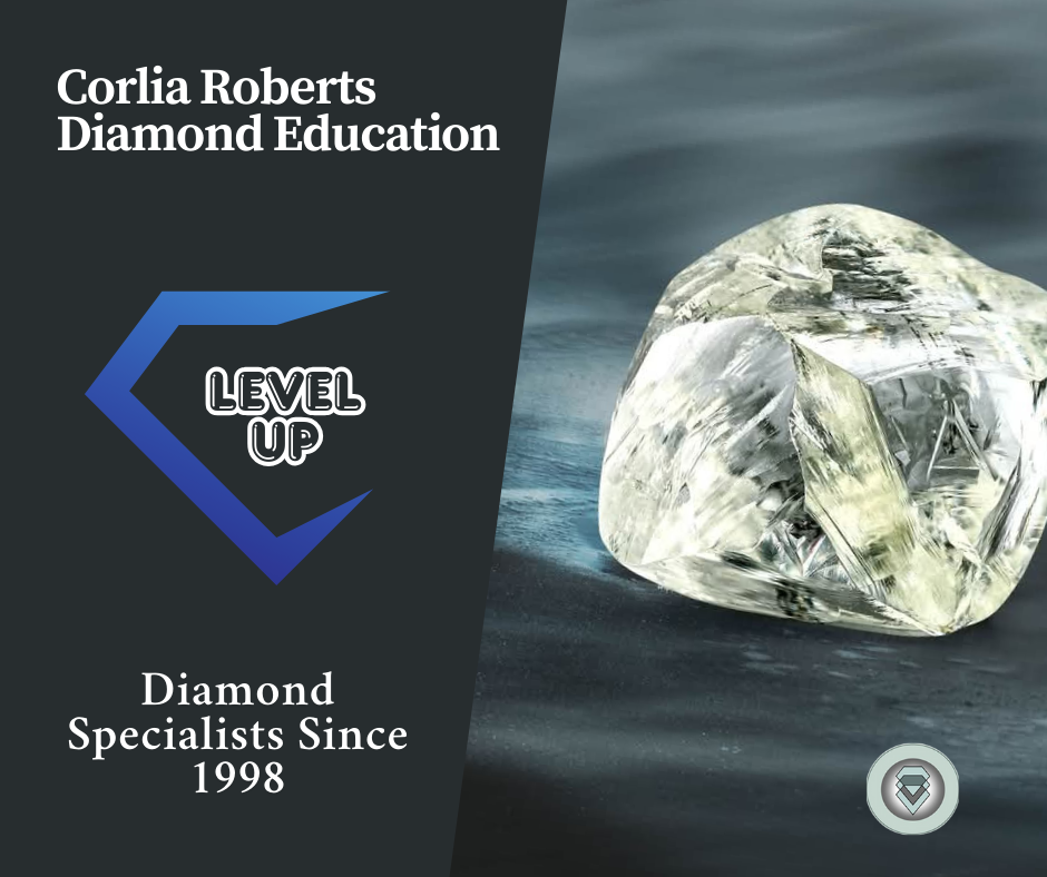 From Rough to Polished: Mastering the Diamond Trade with Corlia Roberts